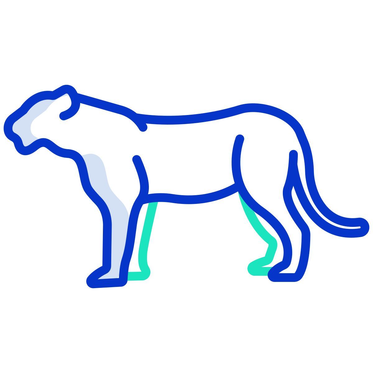tiger icon