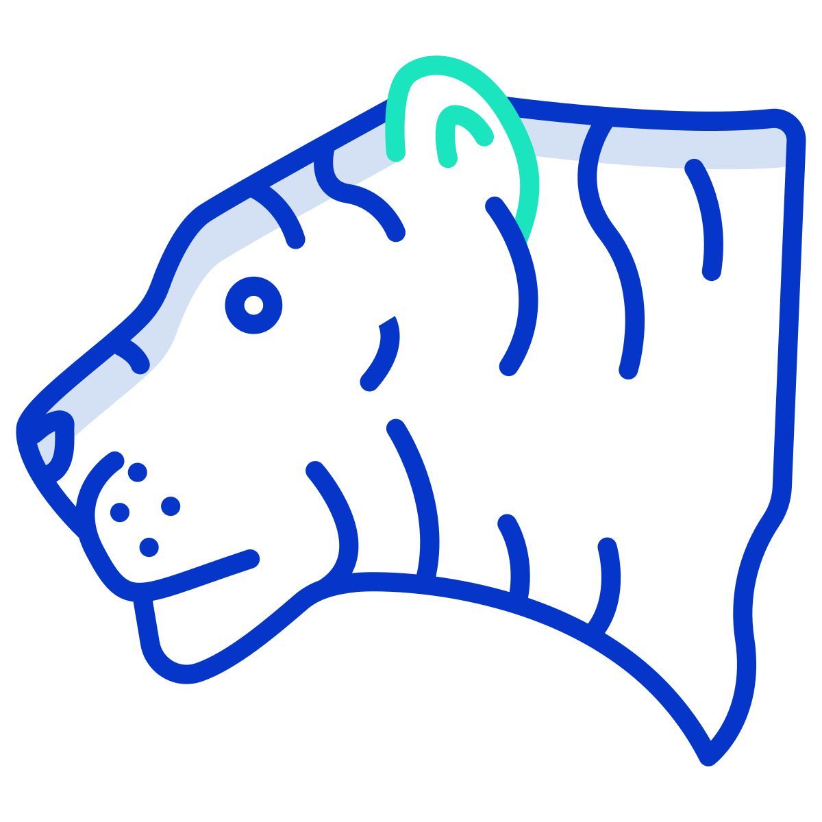 tiger icon