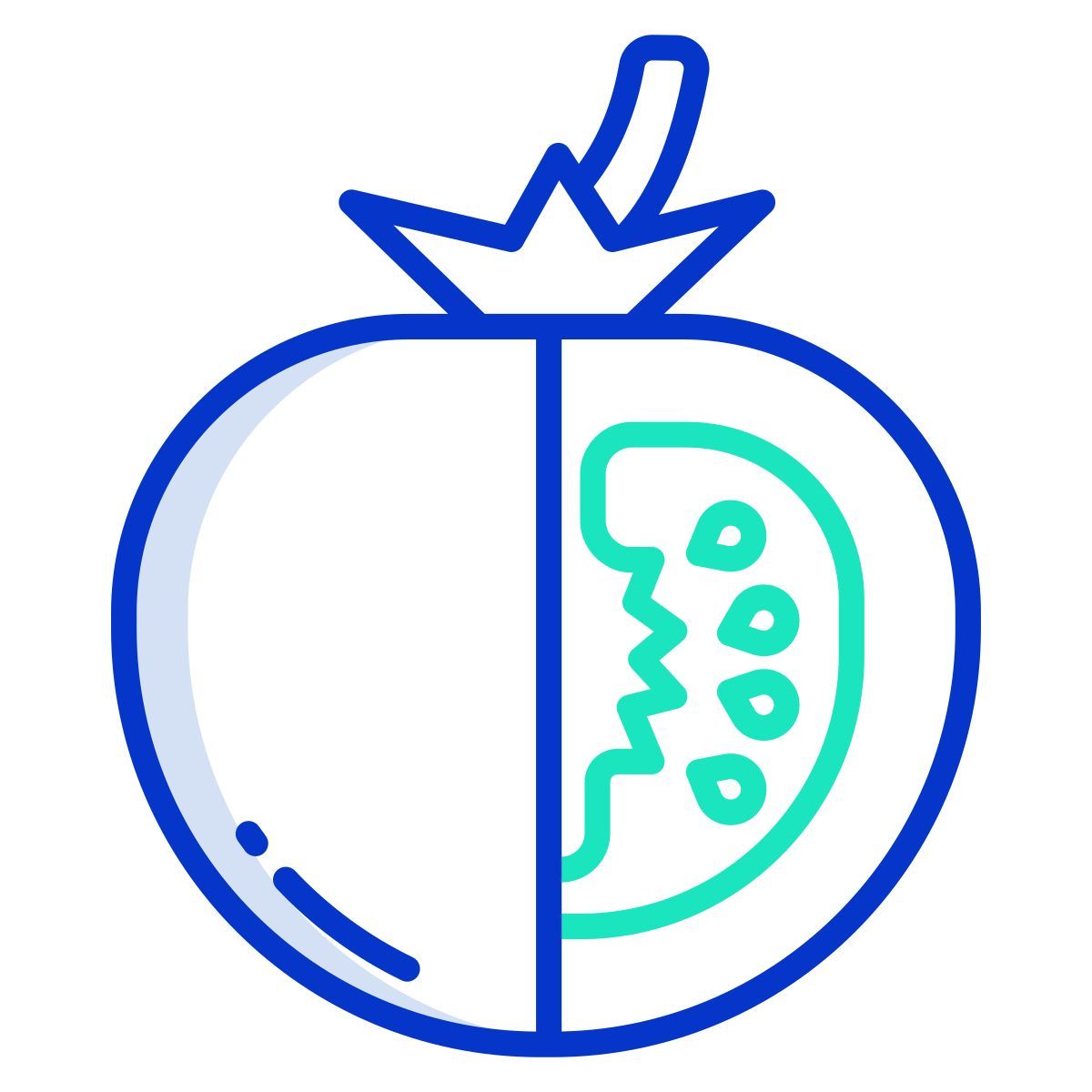 tomato icon