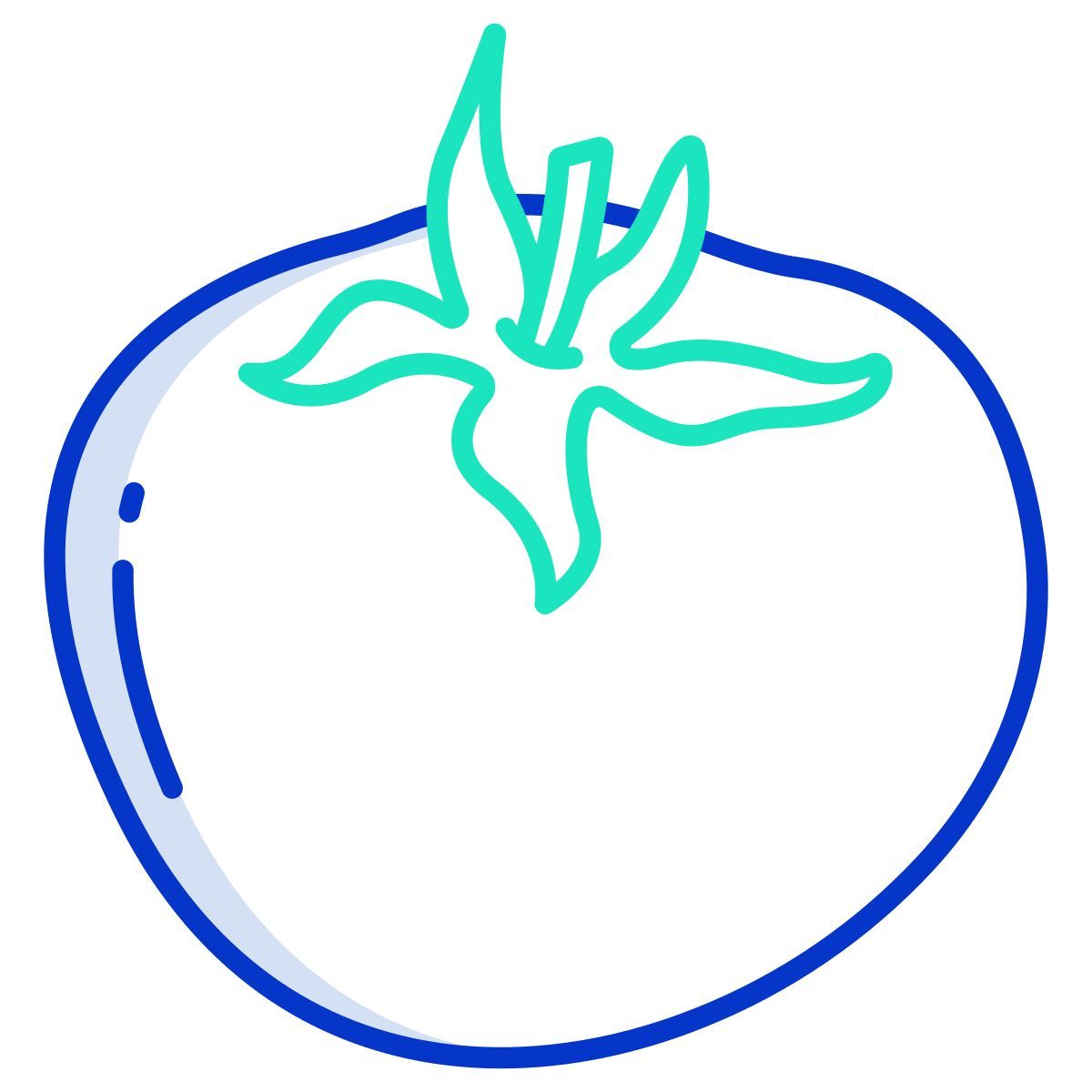 tomato icon