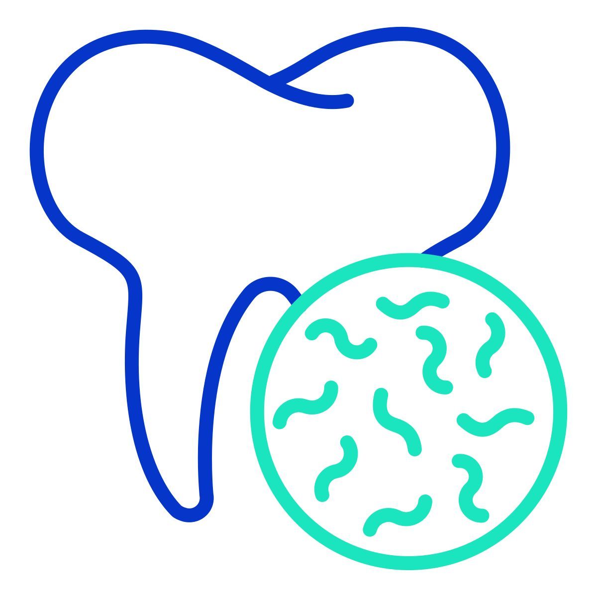 tooth icon