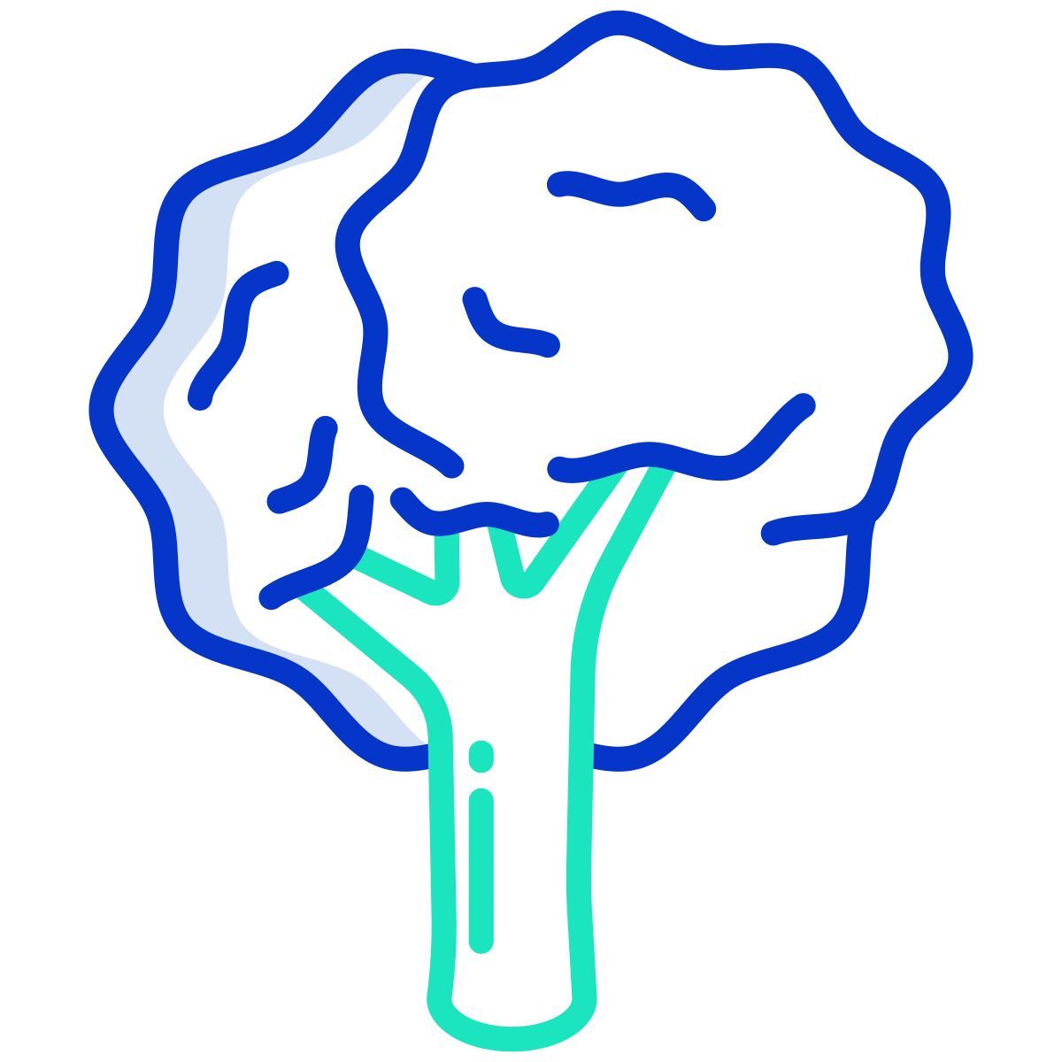 tree icon