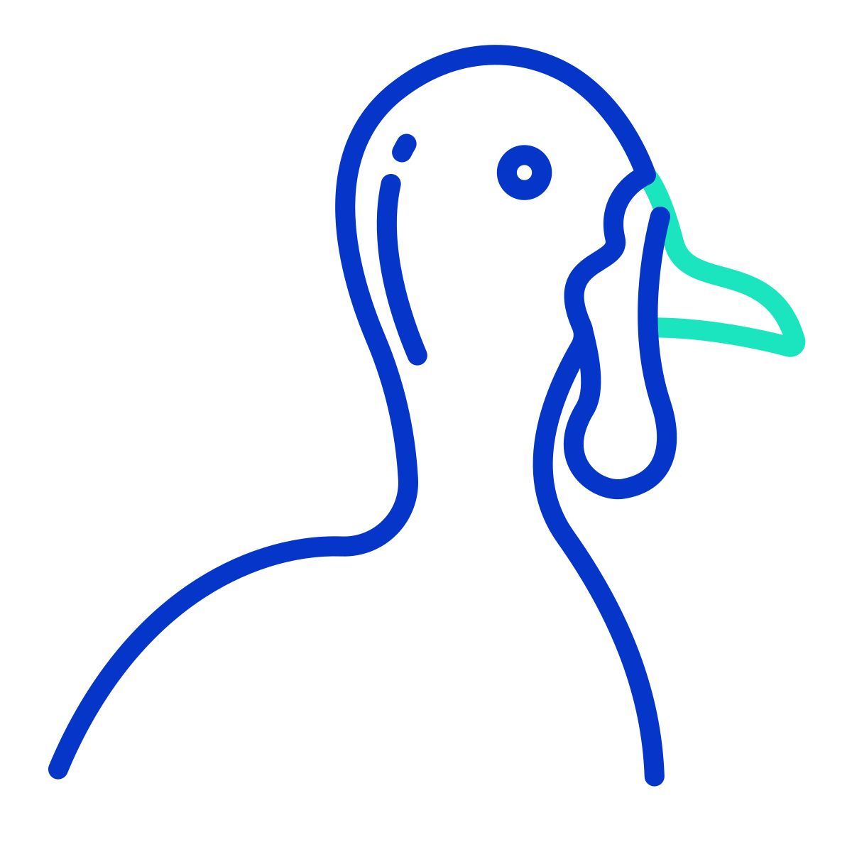 turkey icon
