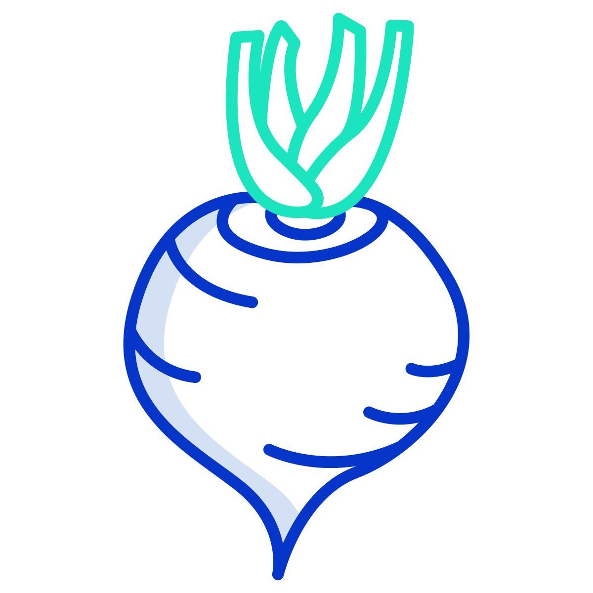 turnip icon