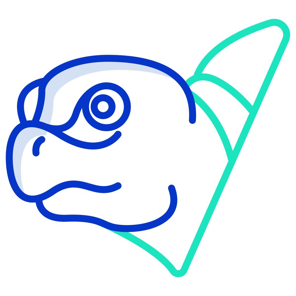 turtle icon