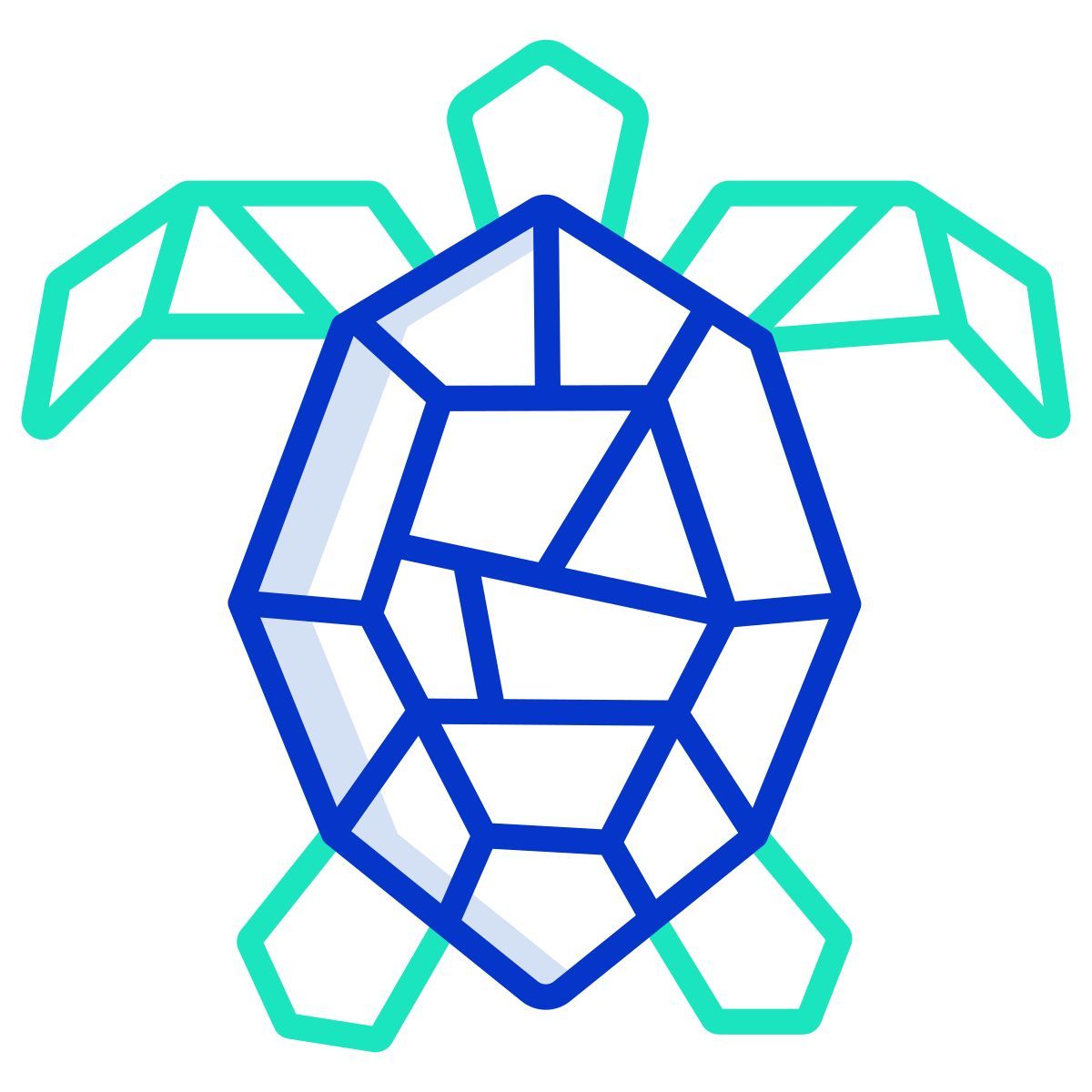 turtle icon