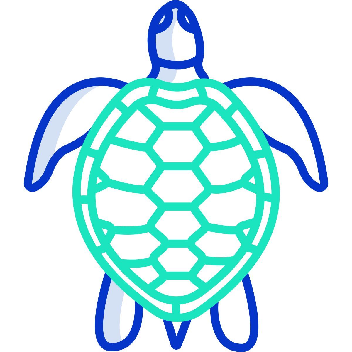 turtle icon