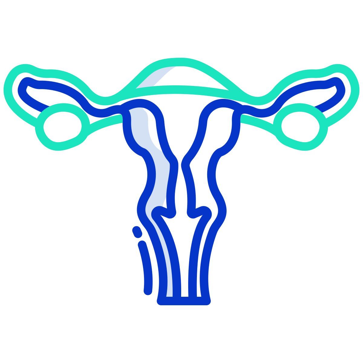 uterus icon