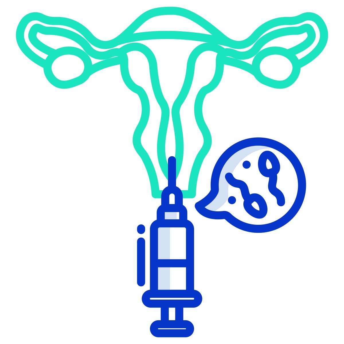 uterus icon
