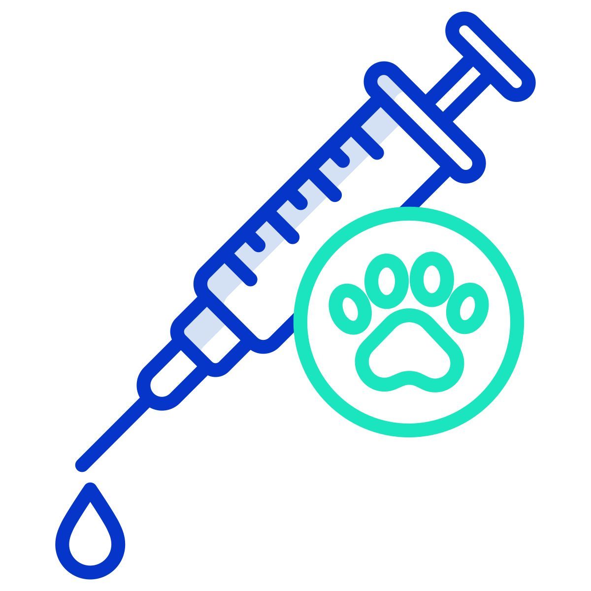 vaccination icon