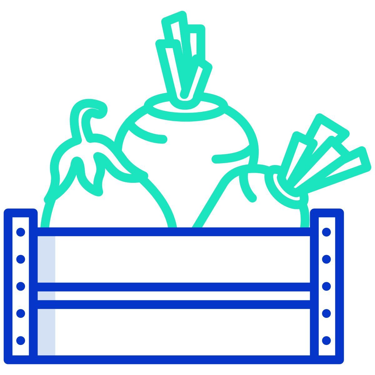 vegetables icon