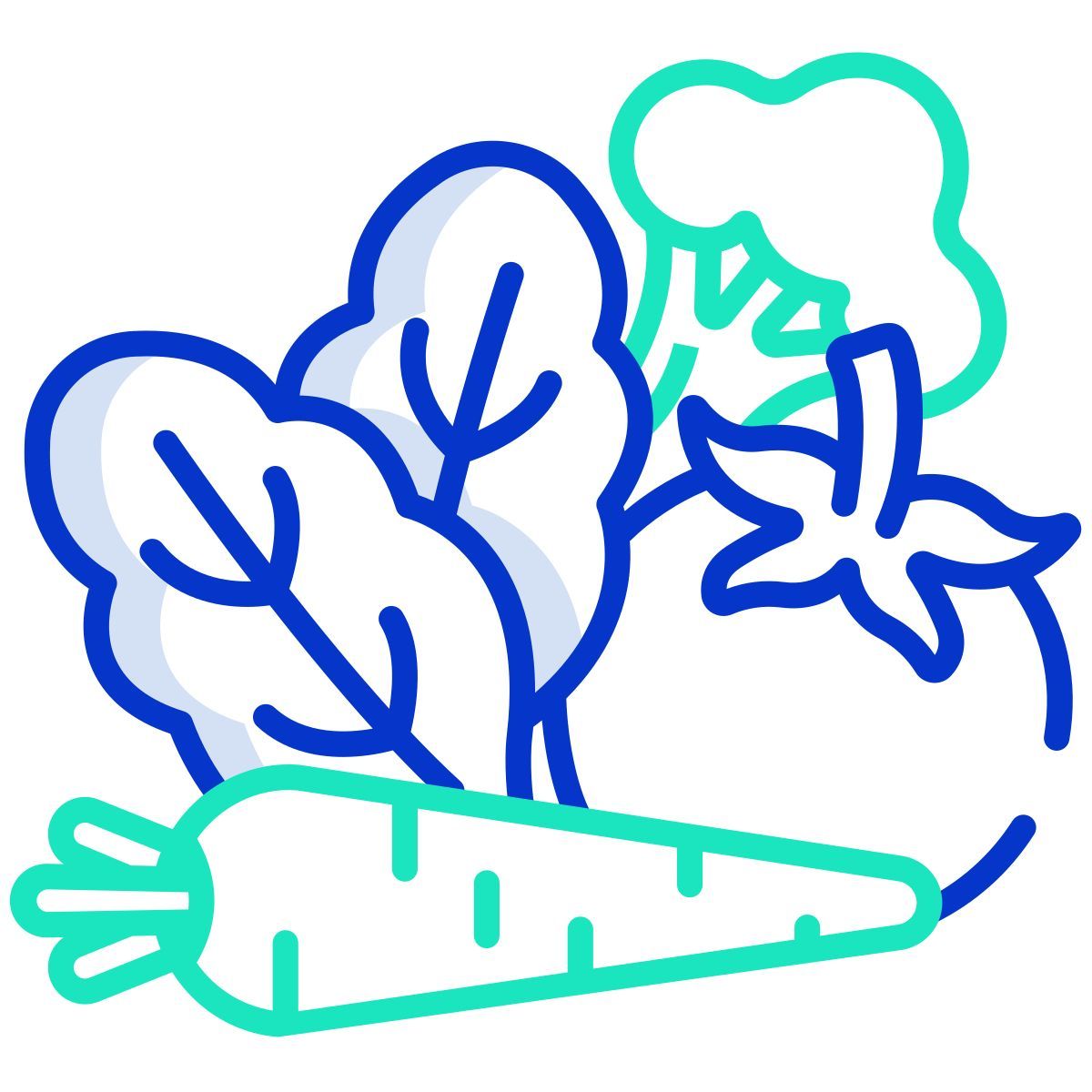vegetais icon