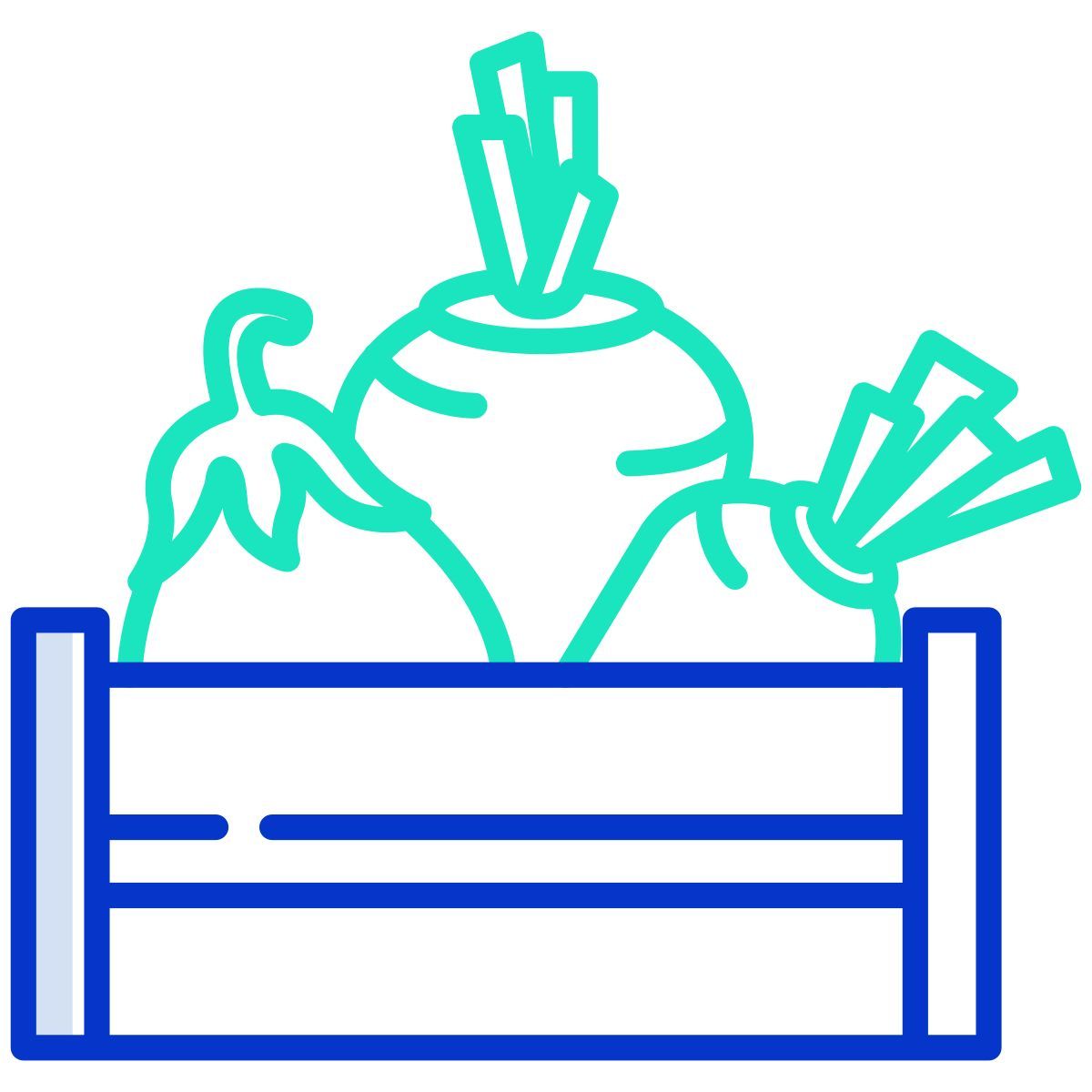 vegetables icon