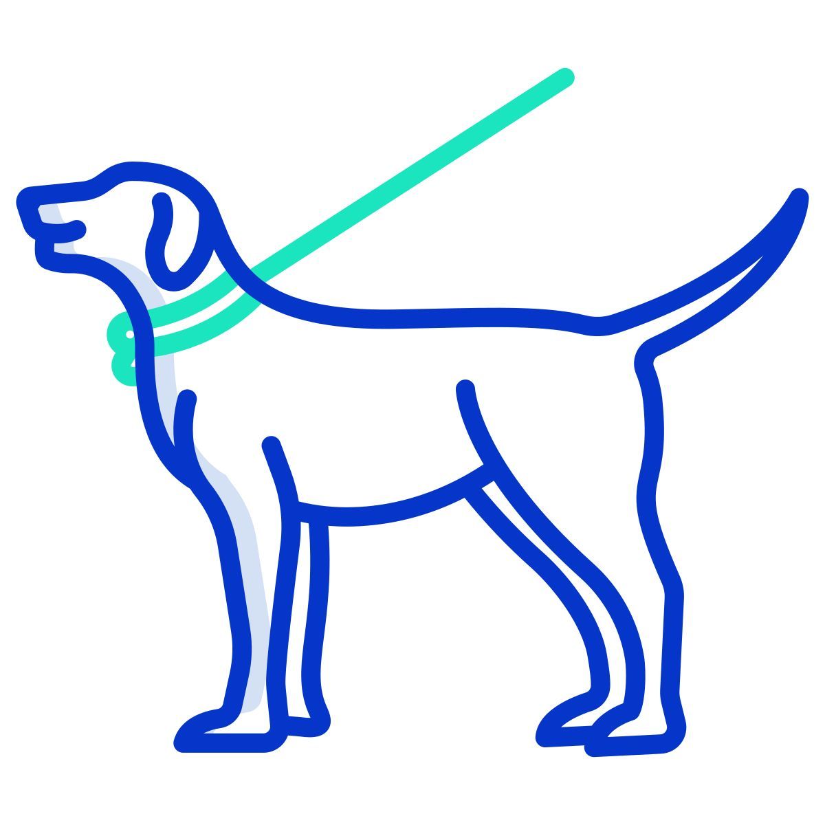 walking the dog icon
