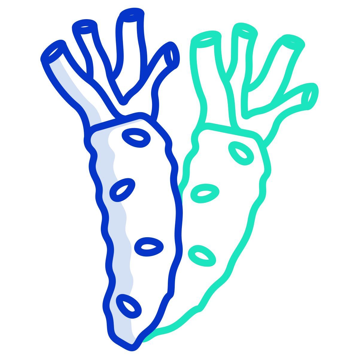 wasabi icon