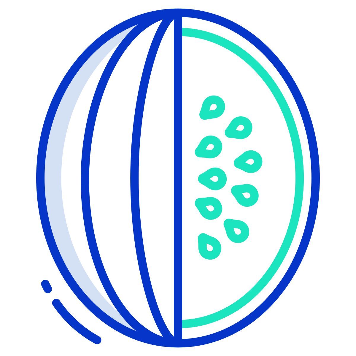 water melon icon