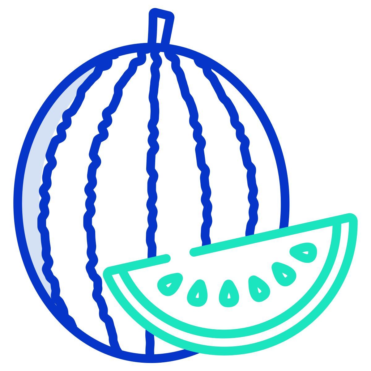 watermelon icon