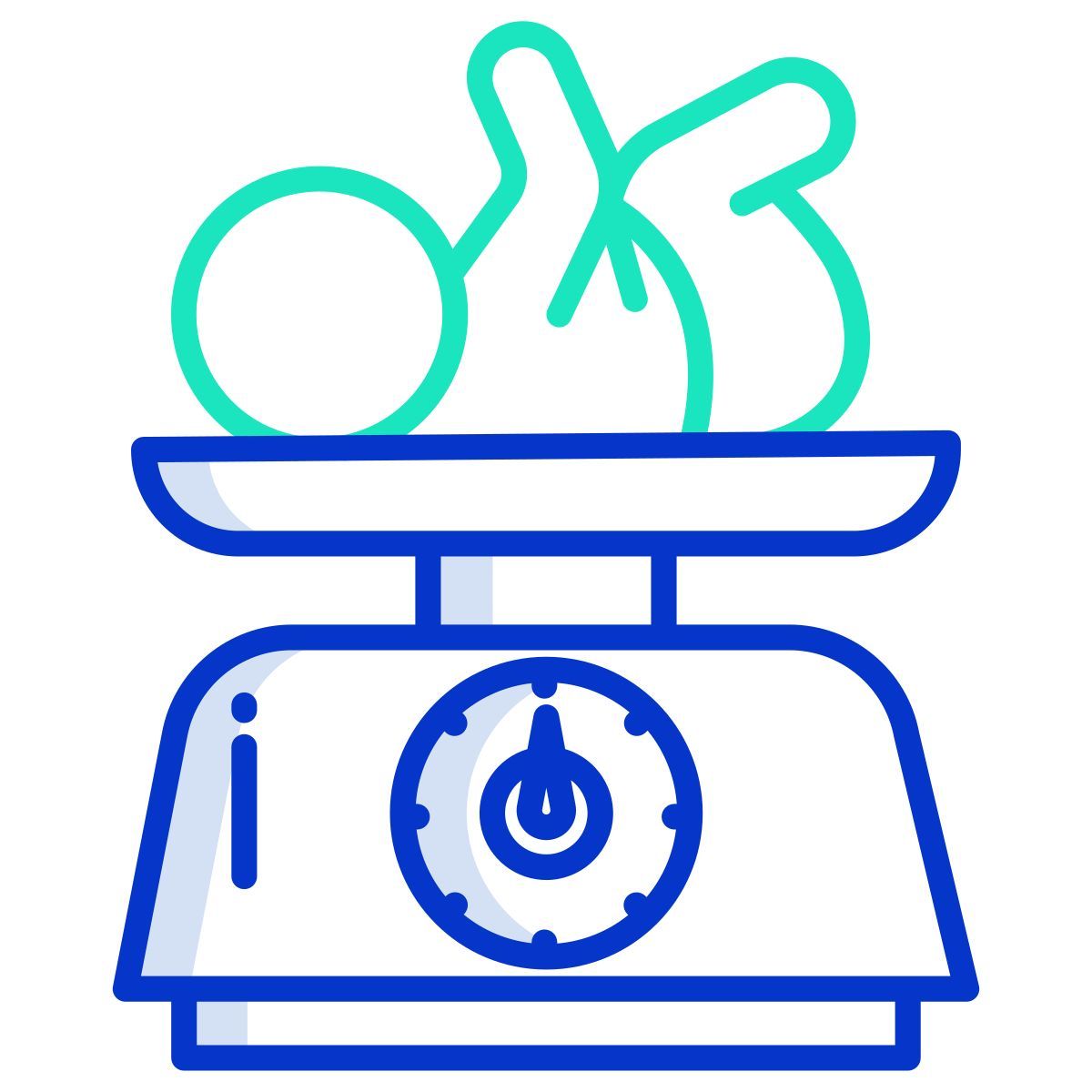 weight icon