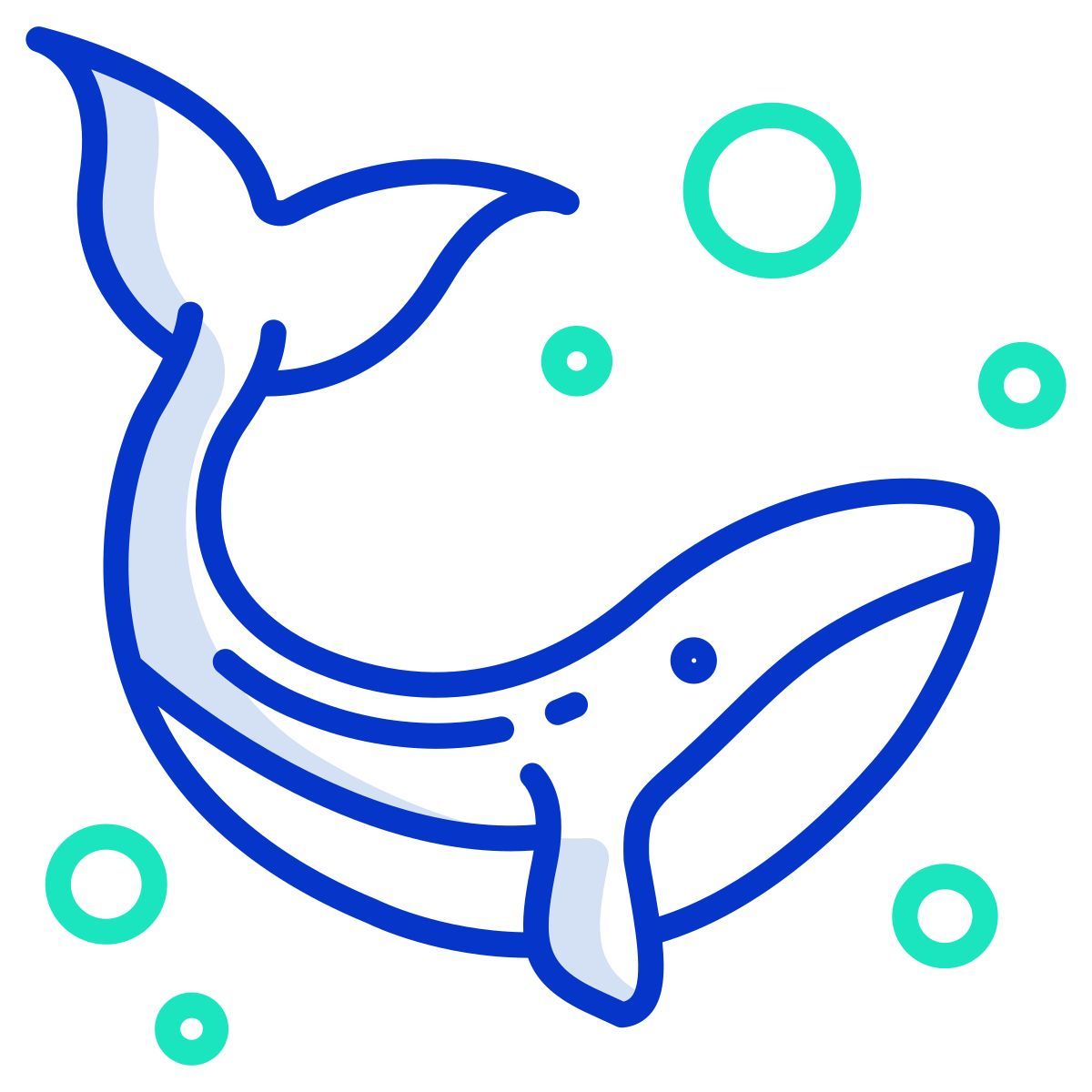 whale icon