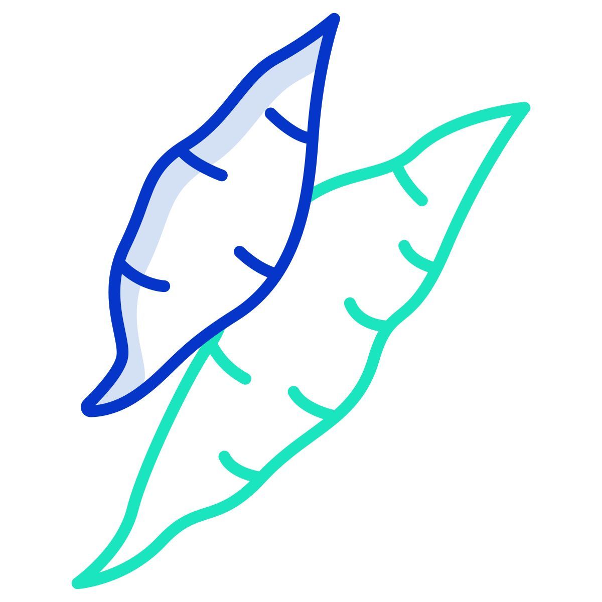 yucca icon