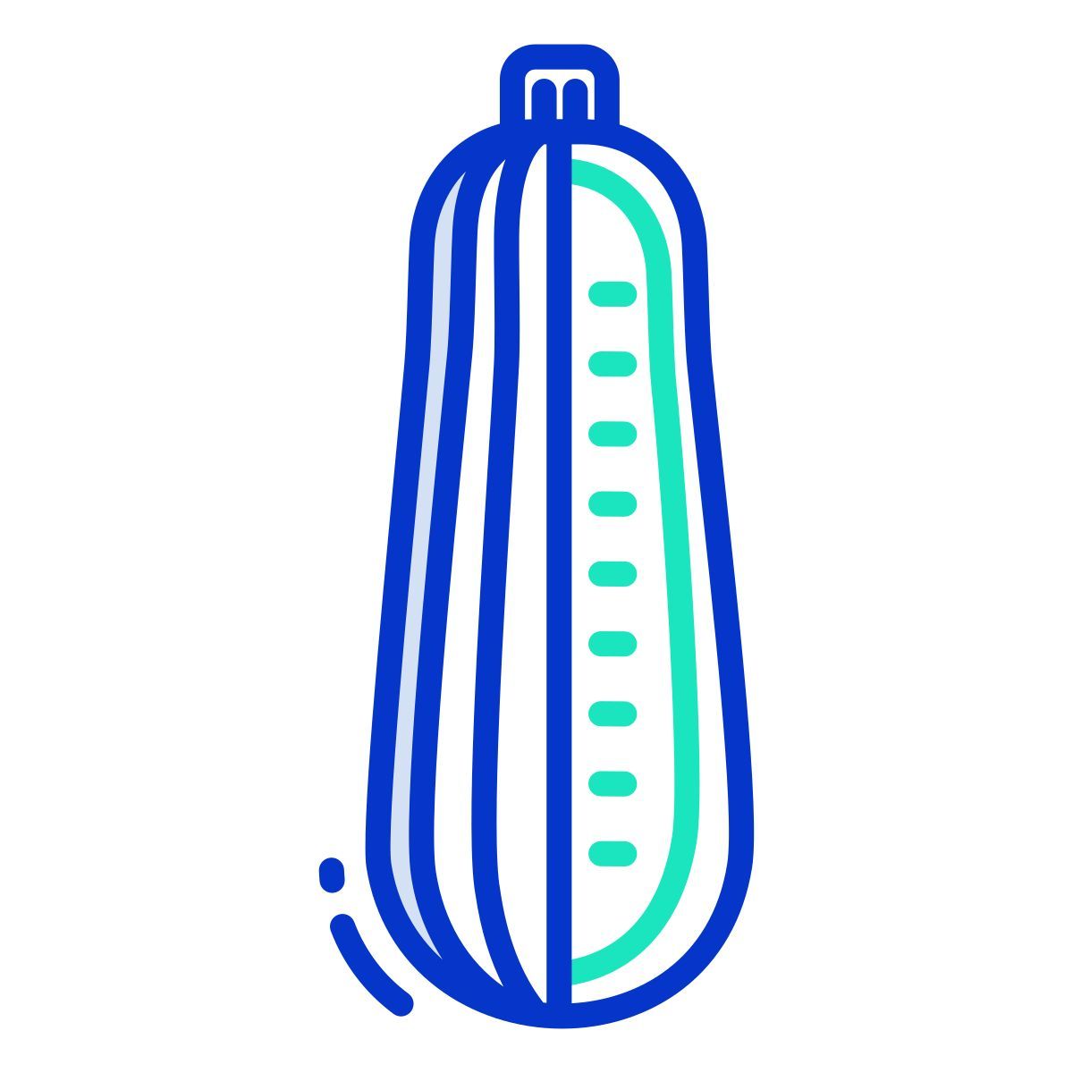 zucchini icon