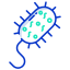 external bacteria-science-and-technology-icongeek26-outline-colour-icongeek26 icon