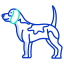 external beagle-dog-breeds-icongeek26-outline-colour-icongeek26 icon