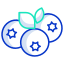 external blueberry-vegan-icongeek26-outline-colour-icongeek26 icon