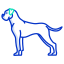 external boxer-dog-breeds-icongeek26-outline-colour-icongeek26 icon