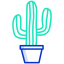 external cactus-mexico-icongeek26-outline-colour-icongeek26 icon