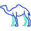external camel-animal-body-icongeek26-outline-colour-icongeek26 icon