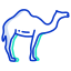 external camel-desert-icongeek26-outline-colour-icongeek26 icon
