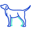 external dog-animal-body-icongeek26-outline-colour-icongeek26 icon