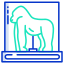 external gorilla-museum-icongeek26-outline-colour-icongeek26 icon