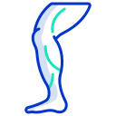 external Leg-human-body-parts-icongeek26-outline-colour-icongeek26 icon