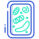 external Plant-Cell-biology-icongeek26-outline-colour-icongeek26-2 icon