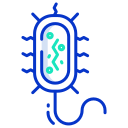 external Prokaryote-biology-icongeek26-outline-colour-icongeek26 icon