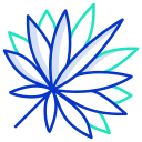 external Sabal-Palm-Leaf-leaf-icongeek26-outline-colour-icongeek26 icon