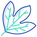 external Sassafras-Leaf-leaf-icongeek26-outline-colour-icongeek26 icon