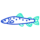 external Trout-Fish-fishes-icongeek26-outline-colour-icongeek26 icon