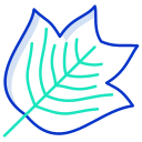 external Tulip-Tree-Leaf-leaf-icongeek26-outline-colour-icongeek26 icon