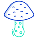 external Wild-Mushroom-mushroom-icongeek26-outline-colour-icongeek26 icon