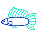 external Yuctan-Molly-Fish-fishes-icongeek26-outline-colour-icongeek26 icon