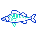 external Zander-Fish-fishes-icongeek26-outline-colour-icongeek26 icon