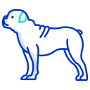 external bulldog-dog-breeds-icongeek26-outline-colour-icongeek26 icon