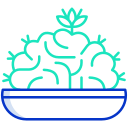 external cactus-cactus-icongeek26-outline-colour-icongeek26-6 icon