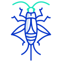 external cricket-bugs-and-insects-icongeek26-outline-colour-icongeek26 icon