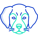 external dog-animal-faces-icongeek26-outline-colour-icongeek26 icon