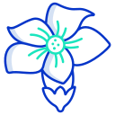 external flower-flower-icongeek26-outline-colour-icongeek26 icon