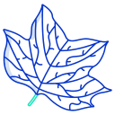 external leaf-leaves-icongeek26-outline-colour-icongeek26-9 icon